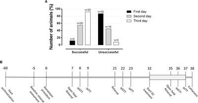 Glucose Homeostasis Is Not Affected in a Murine Model of Parkinson’s Disease Induced by 6-OHDA
